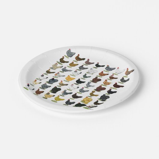 49 Huhn-Hennen Pappteller (Schrägansicht)