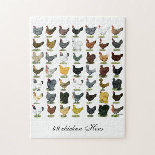 49 Huhn-Hennen Puzzle