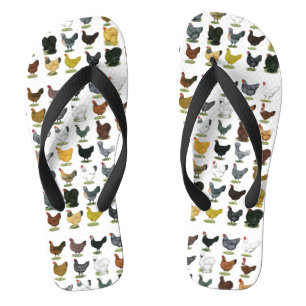 49 Hühner Badesandalen