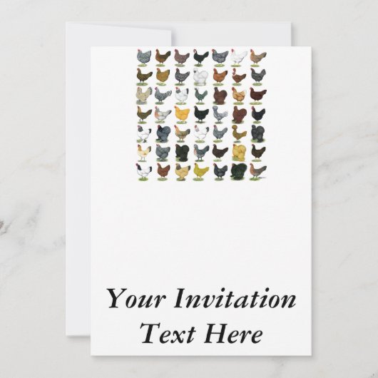 49 Hühner Einladung (Vorderseite)