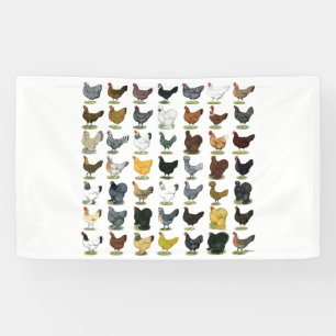 49 Hühnerhennen Banner