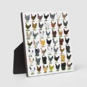 49 Hühnerhennen Fotoplatte (Vorderseite)