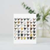 49 Hühnerhennen Postkarte (Stehend Vorderseite)