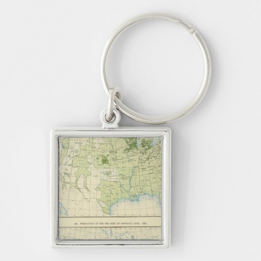 49 Roggen 1890 Schlüsselanhänger (Vorne)