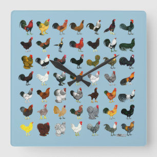49 Roosters Quadratische Wanduhr