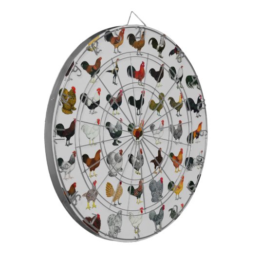 49 Runder Dartscheibe (Vorderseite Links)