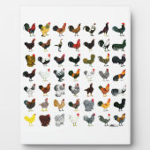 49 Runder Fotoplatte (Vorderseite)