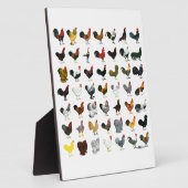 49 Runder Fotoplatte (Seite)