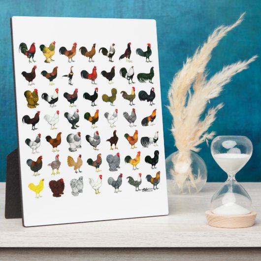 49 Runder Fotoplatte (Seite)