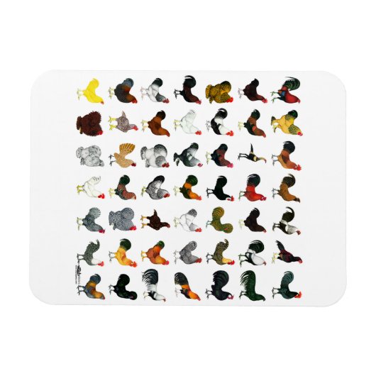 49 Runder Magnet (Horizontal)