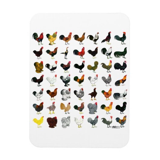 49 Runder Magnet (Vertikal)