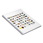 49 Runder Notizblock (Rechte Seite)