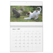 4 2016 seidener Windhound Welpen-Kalender Kalender (Mär 2027)