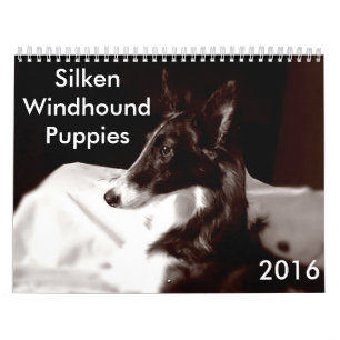 4 2016 seidener Windhound Welpen-Kalender Kalender