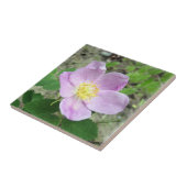4,25" x 4,25" Quadrat Tile Woods Rose Rosa Blume Fliese (Seite)