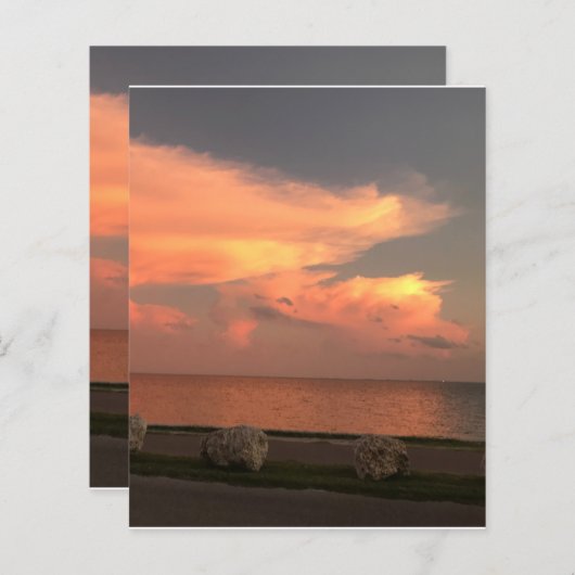 4,5" x 5,6" Flachpapier (Vorne/Hinten)