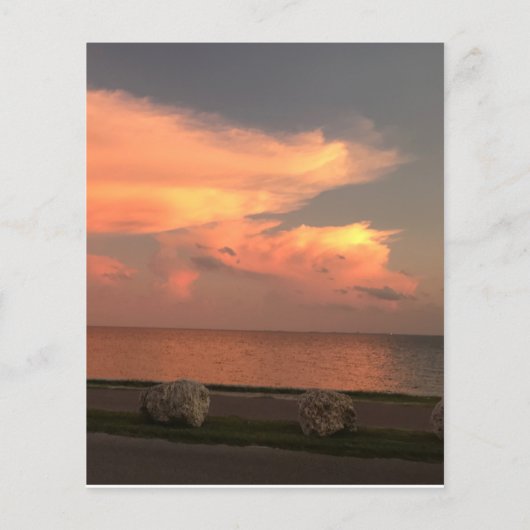 4,5" x 5,6" Flachpapier (Rückseite)