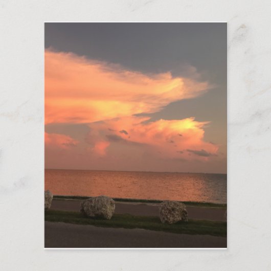 4,5" x 5,6" Flachpapier (Vorderseite)