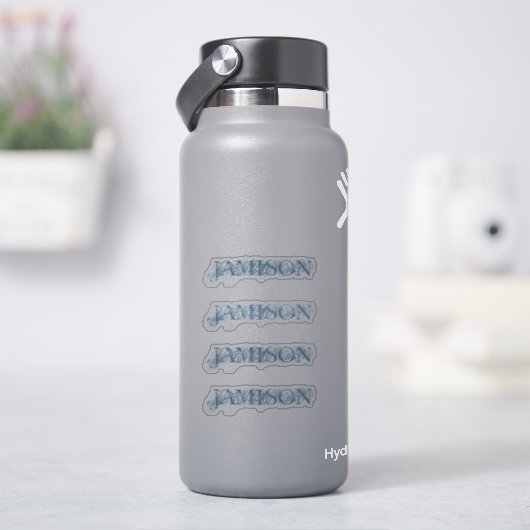 4 Aufkleber Blue Business Name Logo Wasserflasche (HydroFlask)