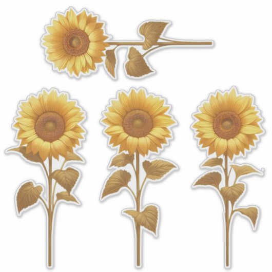 4 Aufkleber für Sonnenblumen (Vorderseite)