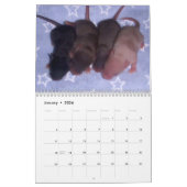 4 Baby-Mäusewachsende hohe Kalender (Jan 2026)
