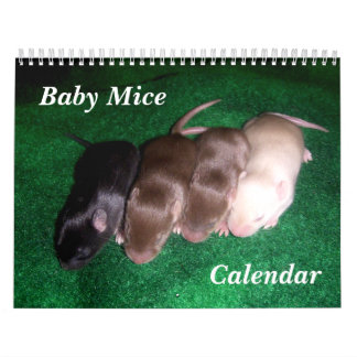 4 Baby-Mäusewachsende hohe Kalender