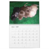 4 Baby-Mäusewachsende hohe Kalender (Mär 2027)