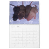4 Baby-Mäusewachsende hohe Kalender (Jan 2027)