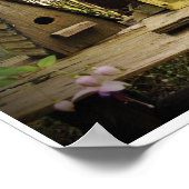 4 Bird Houses Poster (Ecke)