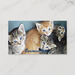 4 blue mit Augen Kitts Business Card Visitenkarte