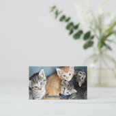 4 blue mit Augen Kitts Business Card Visitenkarte (Stehend Vorderseite)