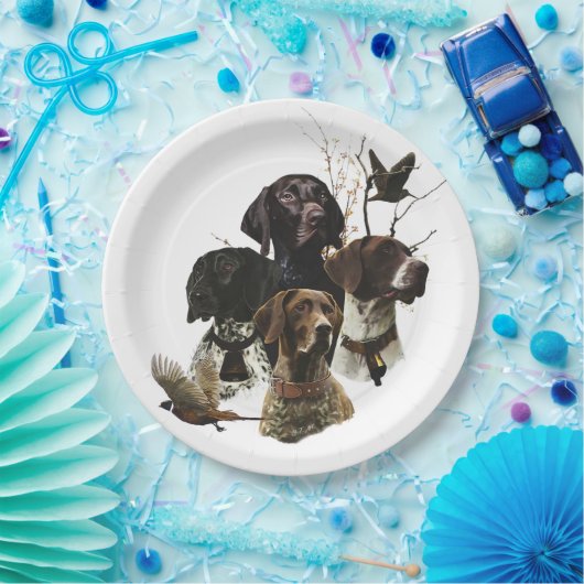 4 Deutsche Kurzzeigerfarben Pappteller (Party)