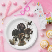 4 Deutsche Kurzzeigerfarben Pappteller (Party)