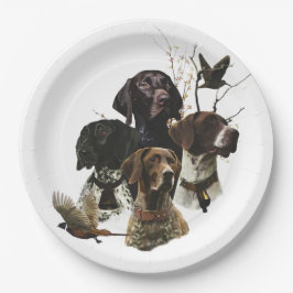 4 Deutsche Kurzzeigerfarben Pappteller