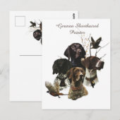 4 Deutsche Kurzzeigerfarben Postkarte (Vorne/Hinten)