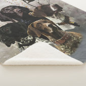 4 Deutsche Kurzzeigerfarben Sherpadecke (3/4)