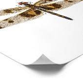 4 Dragonfly Beauties Poster (Ecke)