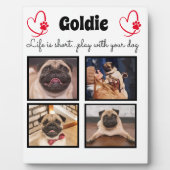 4-Foto-Hundensammlung - angepasster Speicher Fotoplatte (Vorderseite)