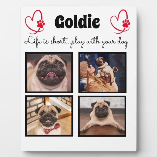 4-Foto-Hundensammlung - angepasster Speicher Fotoplatte (Vorderseite)