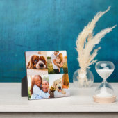 4 Foto mit Standvorlagenrand Fotoplatte (InSitu)