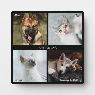 4 Foto Pet Collage, Schwarzer Rahmen, Beschriftung Fotoplatte