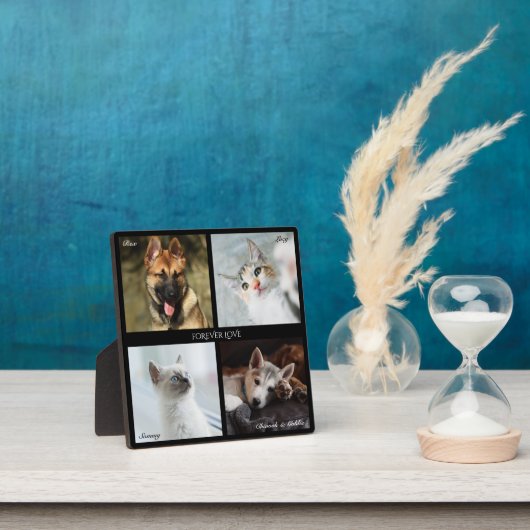 4 Foto Pet Collage, Schwarzer Rahmen, Beschriftung Fotoplatte (InSitu)