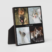 4 Foto Pet Collage, Schwarzer Rahmen, Beschriftung Fotoplatte (Vorderseite)