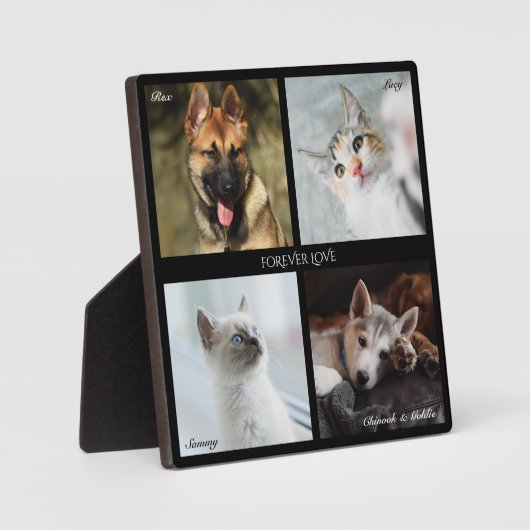 4 Foto Pet Collage, Schwarzer Rahmen, Beschriftung Fotoplatte (Vorderseite)