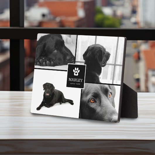 4 Foto Pet Memorial | Achtung Fotoplatte