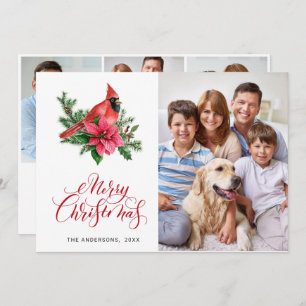4 FOTO Poinsettia Roter Kardinal Weihnachtsgrüße Feiertagskarte