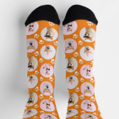 4 FotoCollage Machen Sie Ihre eigenen Fun Dog Sock Socken (Oben)