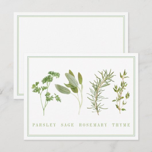 4 FRISCHE HERBS Postkarte (Vorne/Hinten)