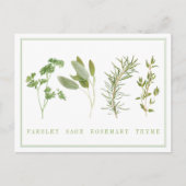 4 FRISCHE HERBS Postkarte (Vorderseite)
