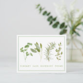 4 FRISCHE HERBS Postkarte (Stehend Vorderseite)